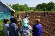 IMG-20200527-WA0031.jpg