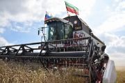 К нов.2. Уборка зерновых-1