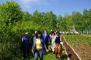 IMG-20200527-WA0029.jpg