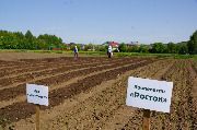 IMG-20200527-WA0033.jpg